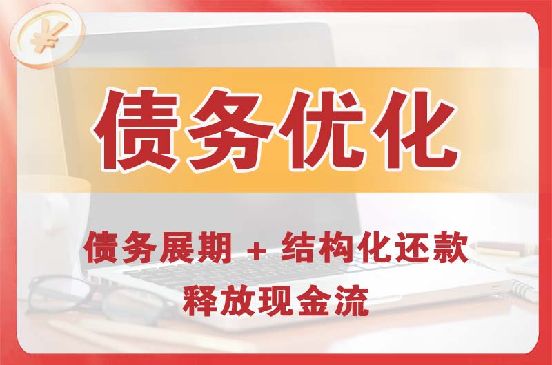 武冈债务优化