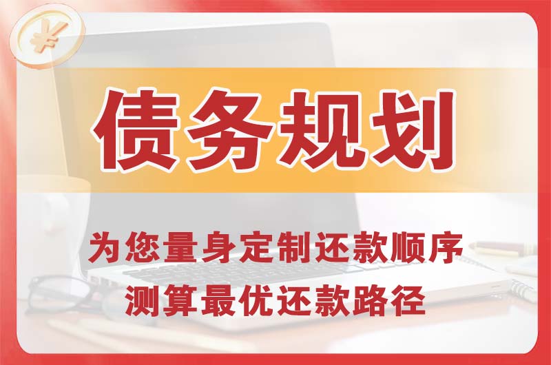 武冈债务规划